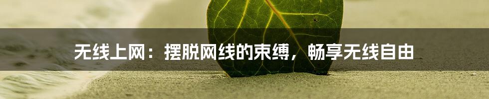 无线上网：摆脱网线的束缚，畅享无线自由