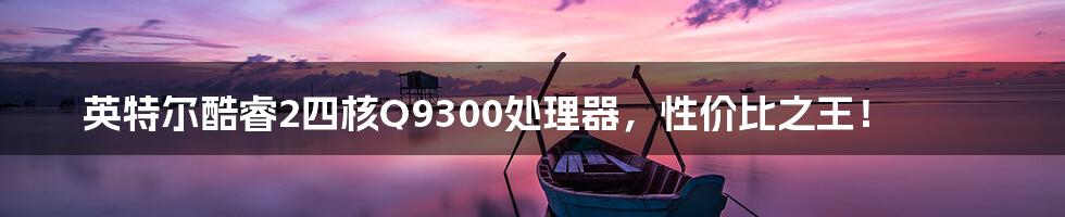 英特尔酷睿2四核Q9300处理器，性价比之王！