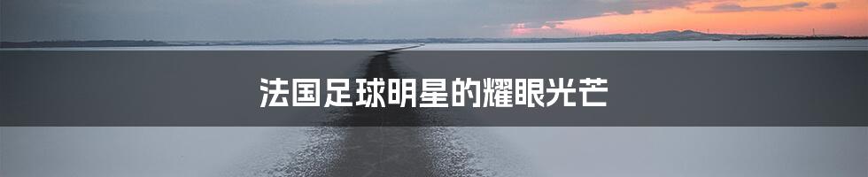 法国足球明星的耀眼光芒