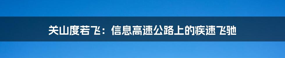 关山度若飞：信息高速公路上的疾速飞驰