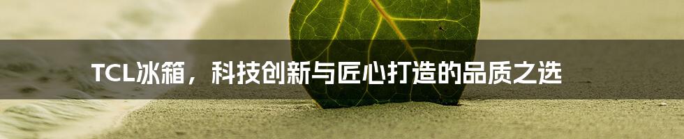 TCL冰箱，科技创新与匠心打造的品质之选