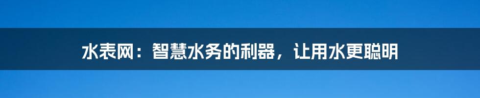 水表网：智慧水务的利器，让用水更聪明