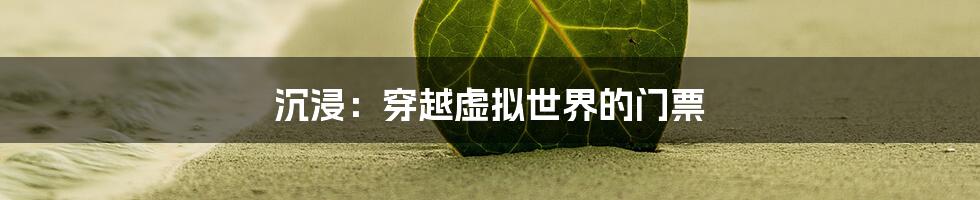 沉浸：穿越虚拟世界的门票