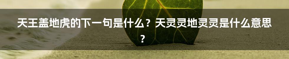 天王盖地虎的下一句是什么？天灵灵地灵灵是什么意思？