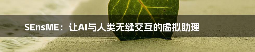 SEnsME：让AI与人类无缝交互的虚拟助理