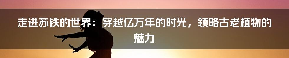 走进苏铁的世界：穿越亿万年的时光，领略古老植物的魅力