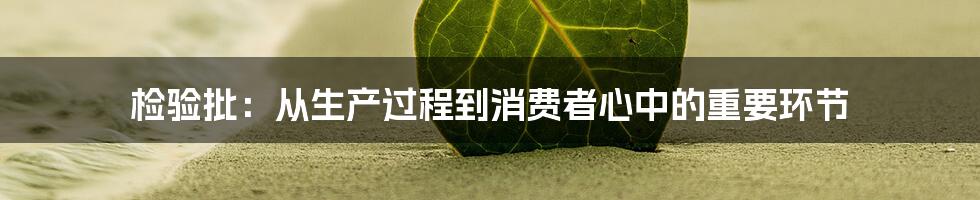 检验批：从生产过程到消费者心中的重要环节