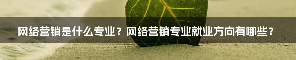 网络营销是什么专业？网络营销专业就业方向有哪些？