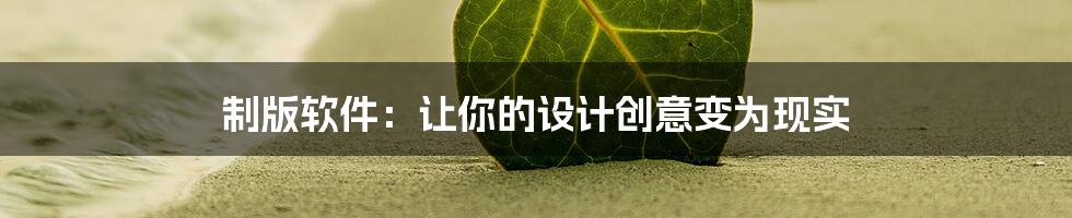 制版软件：让你的设计创意变为现实