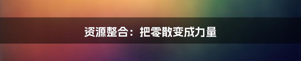 资源整合：把零散变成力量