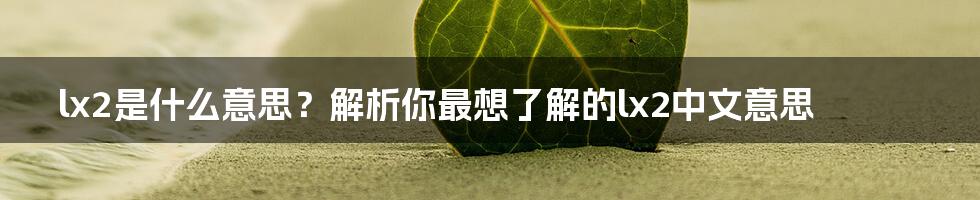 lx2是什么意思？解析你最想了解的lx2中文意思