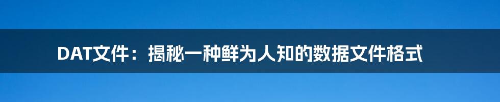 DAT文件：揭秘一种鲜为人知的数据文件格式