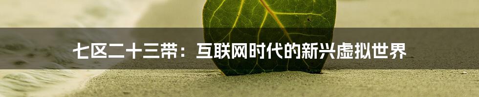 七区二十三带：互联网时代的新兴虚拟世界