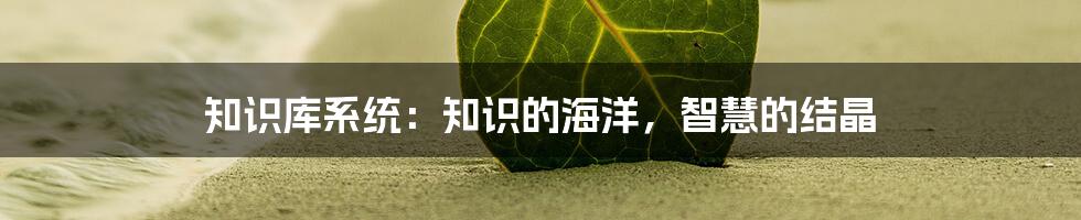 知识库系统：知识的海洋，智慧的结晶