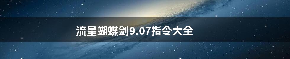 流星蝴蝶剑9.07指令大全