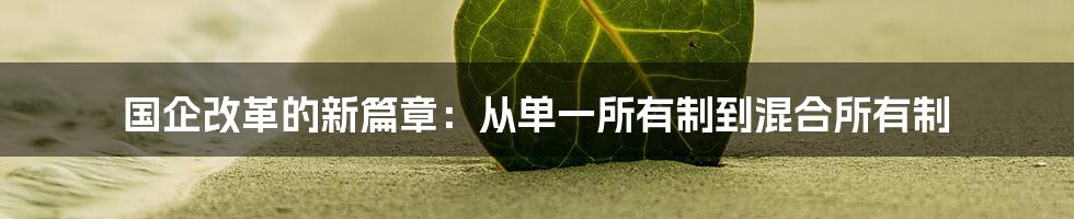 国企改革的新篇章：从单一所有制到混合所有制