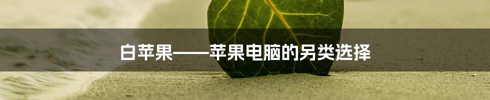 白苹果——苹果电脑的另类选择