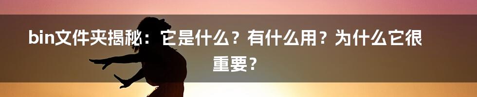 bin文件夹揭秘：它是什么？有什么用？为什么它很重要？