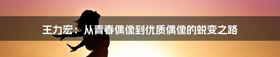 王力宏：从青春偶像到优质偶像的蜕变之路