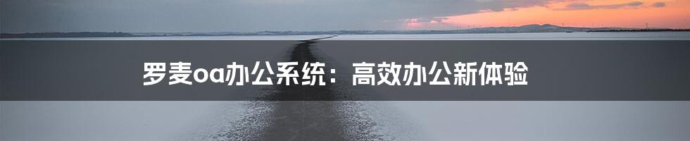 罗麦oa办公系统：高效办公新体验