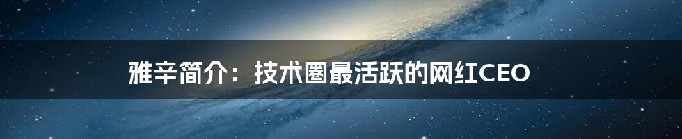 雅辛简介：技术圈最活跃的网红CEO