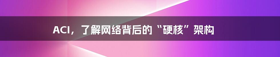 ACI，了解网络背后的“硬核”架构