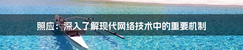 照应：深入了解现代网络技术中的重要机制