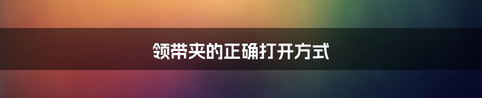 领带夹的正确打开方式