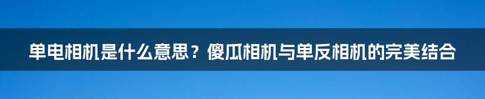 单电相机是什么意思？傻瓜相机与单反相机的完美结合