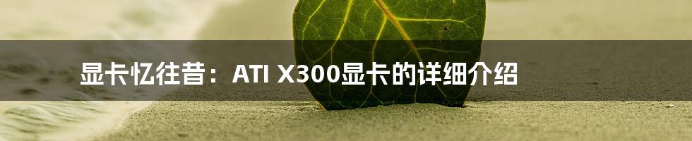 显卡忆往昔：ATI X300显卡的详细介绍