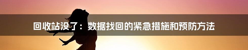 回收站没了：数据找回的紧急措施和预防方法