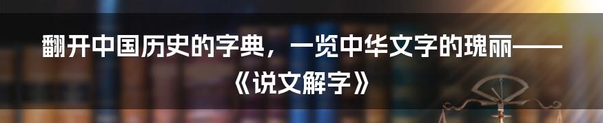 翻开中国历史的字典，一览中华文字的瑰丽——《说文解字》