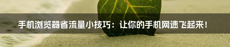 手机浏览器省流量小技巧：让你的手机网速飞起来！