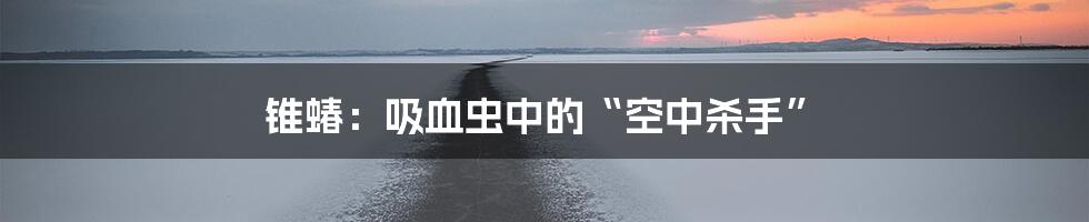 锥蝽：吸血虫中的“空中杀手”