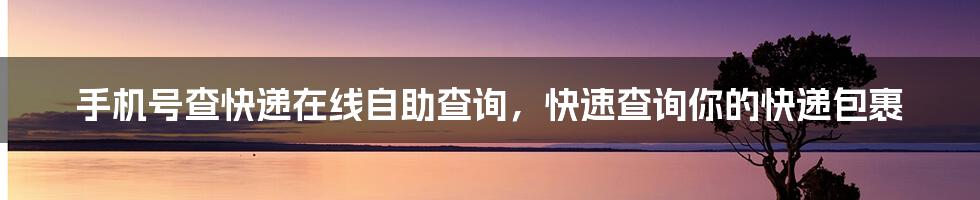 手机号查快递在线自助查询，快速查询你的快递包裹