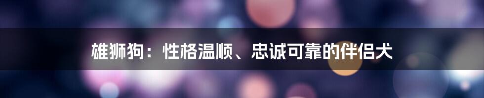 雄狮狗：性格温顺、忠诚可靠的伴侣犬