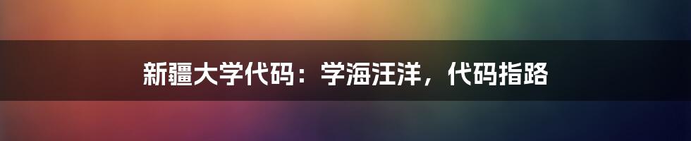 新疆大学代码：学海汪洋，代码指路