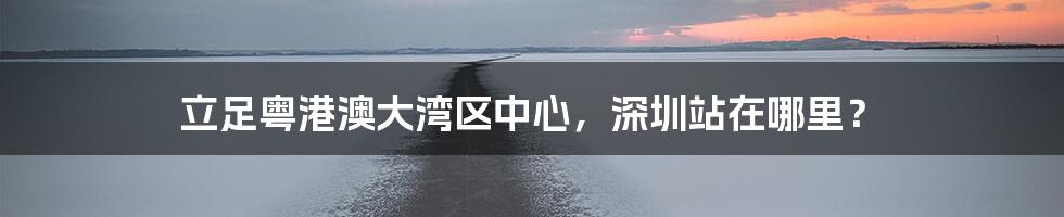 立足粤港澳大湾区中心，深圳站在哪里？