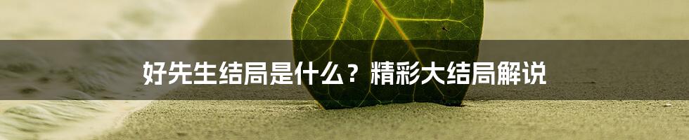 好先生结局是什么？精彩大结局解说