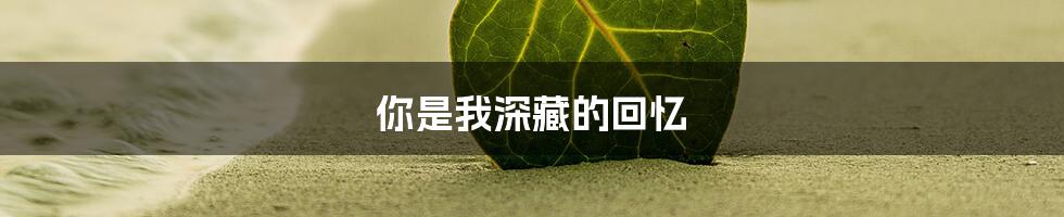 你是我深藏的回忆