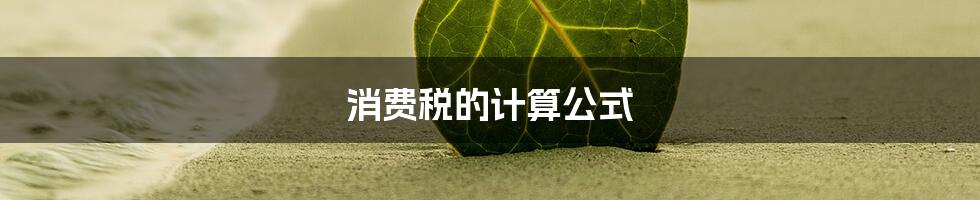 消费税的计算公式