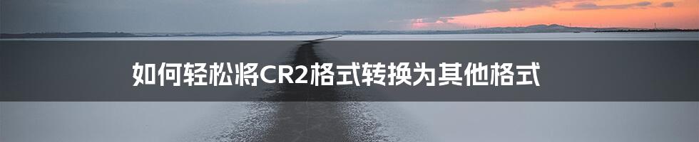 如何轻松将CR2格式转换为其他格式