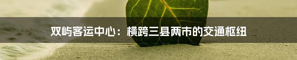 双屿客运中心：横跨三县两市的交通枢纽