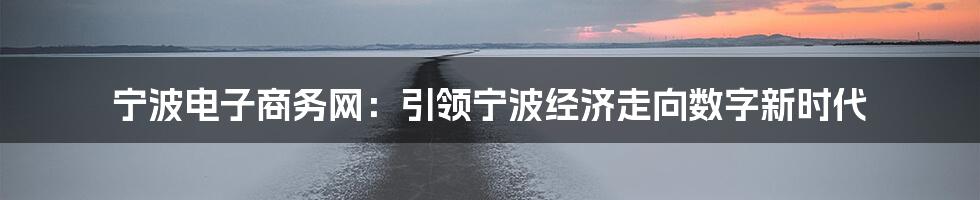 宁波电子商务网：引领宁波经济走向数字新时代