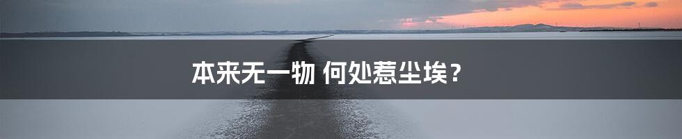 本来无一物 何处惹尘埃？