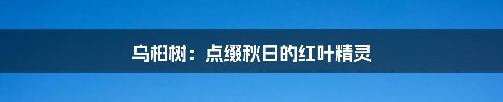 乌桕树：点缀秋日的红叶精灵