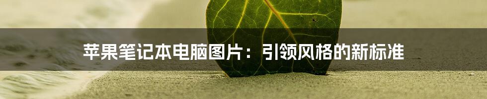 苹果笔记本电脑图片：引领风格的新标准