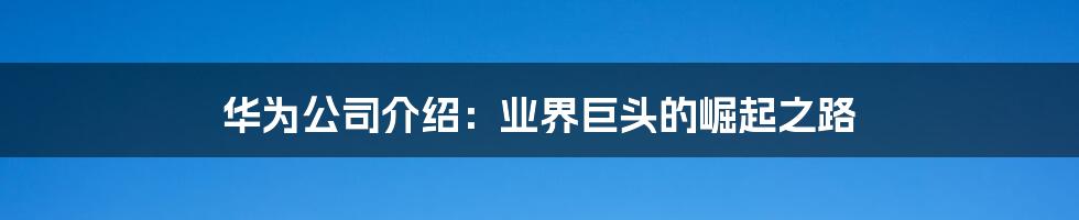 华为公司介绍：业界巨头的崛起之路