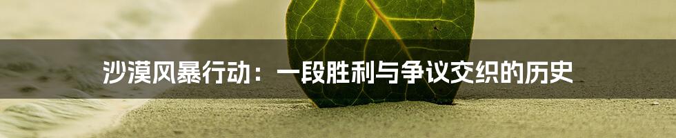 沙漠风暴行动：一段胜利与争议交织的历史