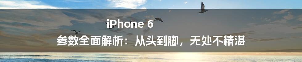 iPhone 6 参数全面解析：从头到脚，无处不精湛